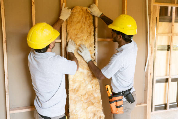 Types of Insulation We Offer in Kaumakani, HI